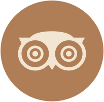 TripAdvisor Icon