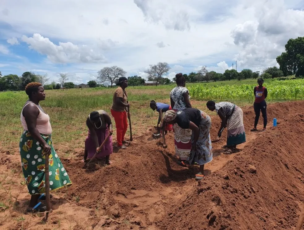 local_communities