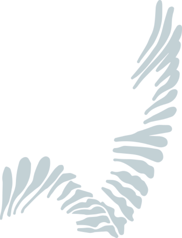 Decorative pattern